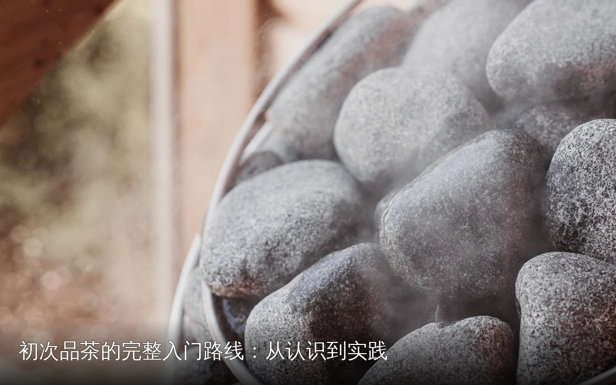 初次品茶的完整入门路线:从认识到实践